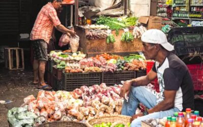 Celebrando el Día del Campesino: Gracias a quienes cultivan la tierra”