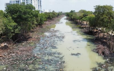 Levantando la Voz Contra el Ecocidio en Caño Juan de Angola