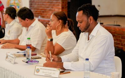 Escuchando a la Comunidad de Arroz Barato en la Localidad 3 para el Plan de Desarrollo Distrital