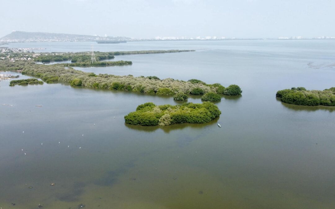 Celebrando la Fuente de Vida: Unidos por el Día Mundial del Agua en Cartagena