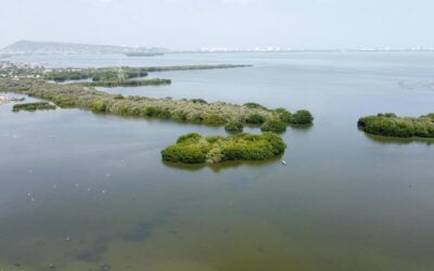 Celebrando la Fuente de Vida: Unidos por el Día Mundial del Agua en Cartagena